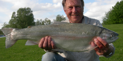 Blue trout from Rutland 490.png